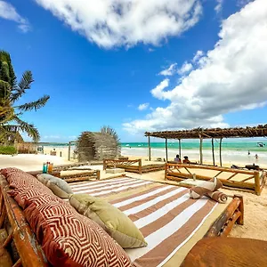 Alito **** Tulum